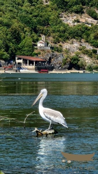 Traditional wooden boat on Lake Skadar with mountain scenery beyond the water